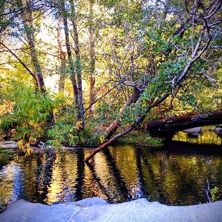 Quiet Mind Lodge, Spa & Retreat Sequoias Кернвілль Екстер'єр фото