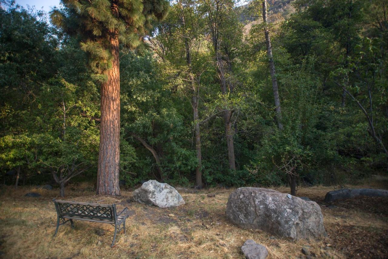 Quiet Mind Lodge, Spa & Retreat Sequoias Кернвілль Екстер'єр фото