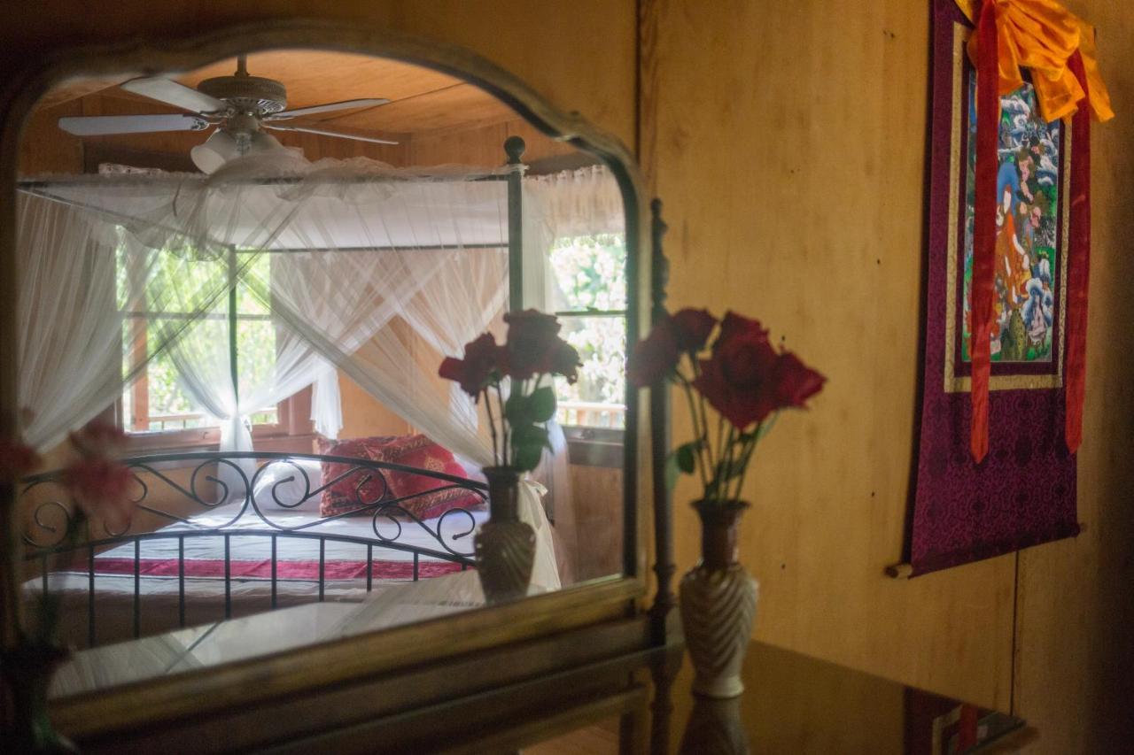 Quiet Mind Lodge, Spa & Retreat Sequoias Кернвілль Екстер'єр фото