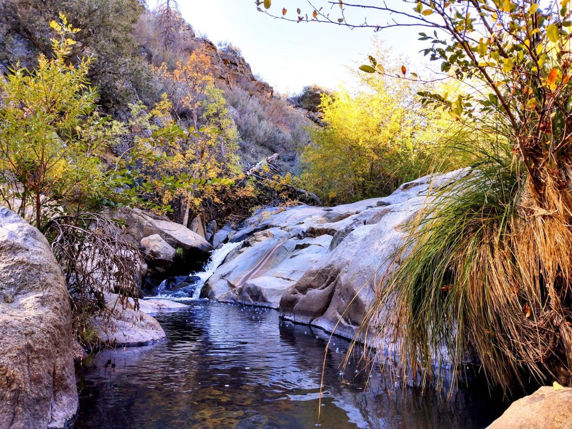 Quiet Mind Lodge, Spa & Retreat Sequoias Кернвілль Екстер'єр фото